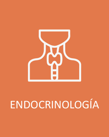 Endocrinologia