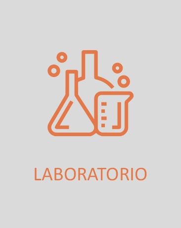 Lab