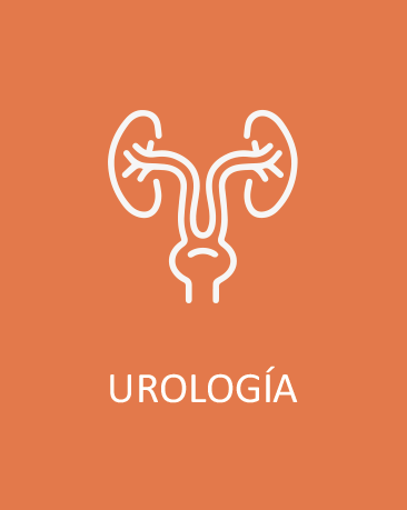 Urologia